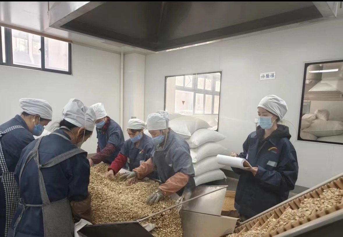 بدأت شركة Qingdao Biohoer Biotech Co. ، Ltd. في البناء رسميًا