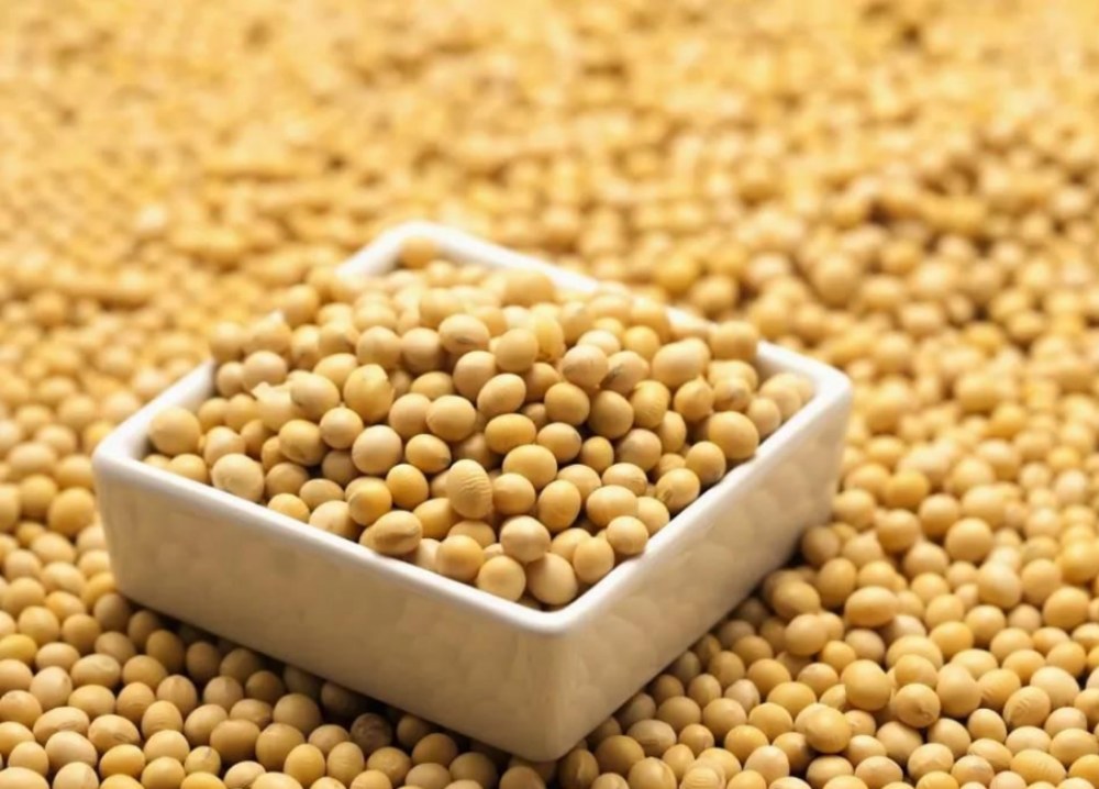 ما هي فوائد isoflavones الصويا؟