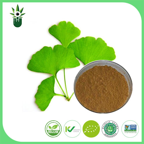 ما هي الأعراض التي يمكن استخدام أعراض مستخلص ورقة Ginkgo Biloba للتخفيف؟