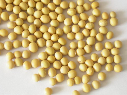 ما هي وظائف وآثار isoflavones الصويا؟