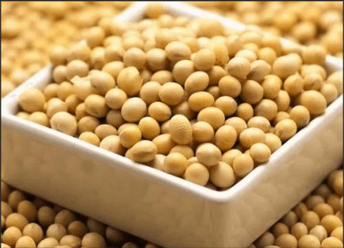 ما هي فوائد isoflavones الصويا؟